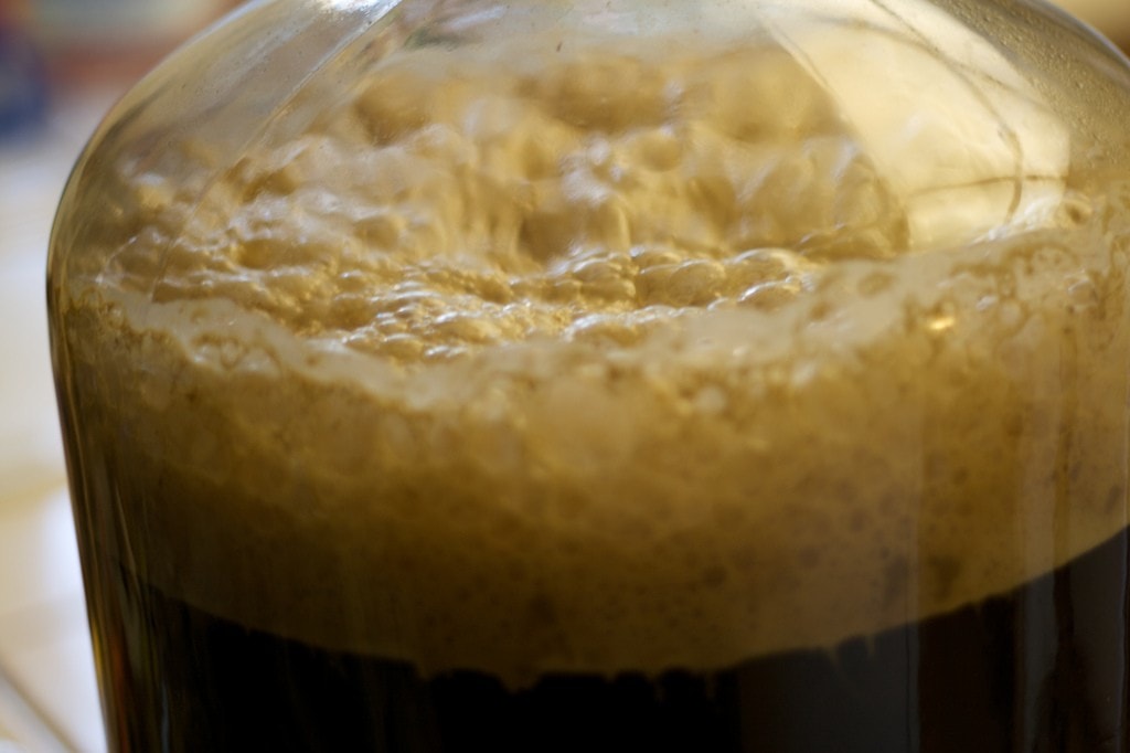 La fermentazione della birra