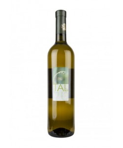 Kosher Trebbiano- Malvasia Tal 2013 0,75 lt.