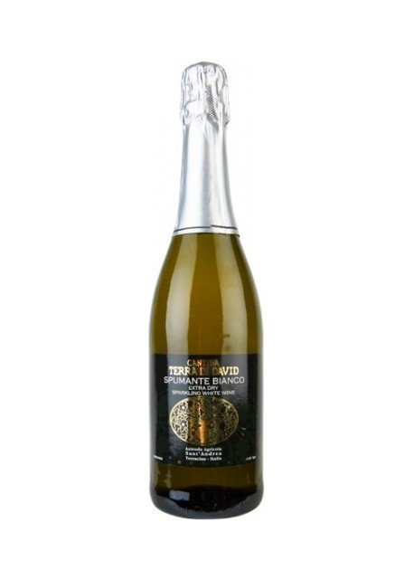 Kosher Spumante Bianco Terra di David Extra Dry Sant' Andrea 0,75 lt.