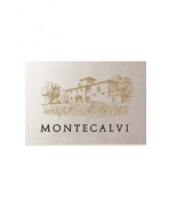 Montecalvi 1995 0,75 lt.