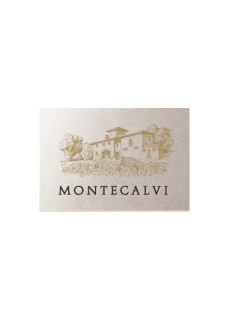 Montecalvi 1995 0,75 lt.