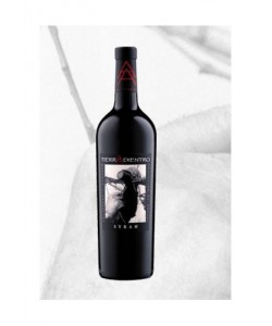 Syrah Tierra Adientro 2005 0,75 lt.