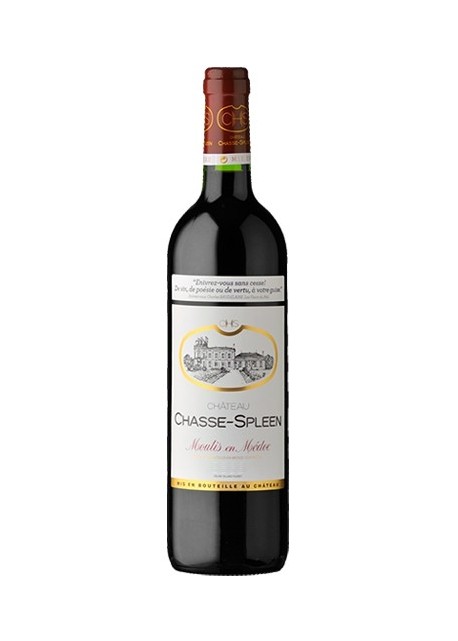 Chateau Chasse-Spleen Moulis en Medoc 2000 0,75 lt.