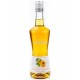 Liquore Apricot Brandy Monin 0,70