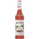 Sciroppo Cannella Monin 0,70 lt.