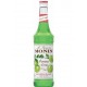 Sciroppo Mela Verde Monin 0,75 lt.