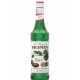 Sciroppo Kiwi Monin 0,70 lt.