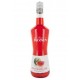 Liquore Watermelon Monin 0,70 lt.