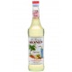 Sciroppo Falernum Monin 0,70 lt.