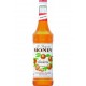 Sciroppo Mandarino Monin 0,70 lt.