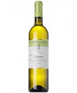 Verdicchio Castelli di Jesi Classico DOC Marotti Campi Albiano 2020