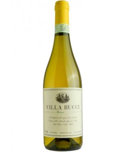 Verdicchio Villa Bucci Riserva 2017 0,75 lt.