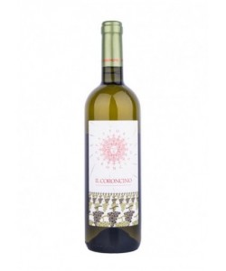 Verdicchio dei Castelli di Jesi Superiore DOC Il Coroncino 2020