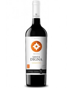 Carmenere Santa Digna Riserva 2020 0,75 lt.