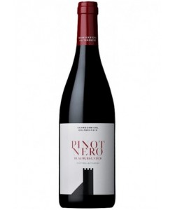 Alto Adige DOC Colterenzio Pinot Nero 2021