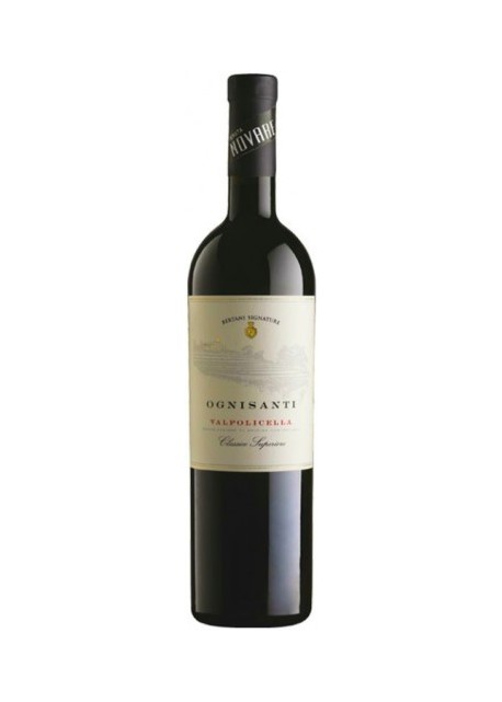 Valpolicella classico superiore Bertani Ognisanti diNovare 2019 0,75 lt.