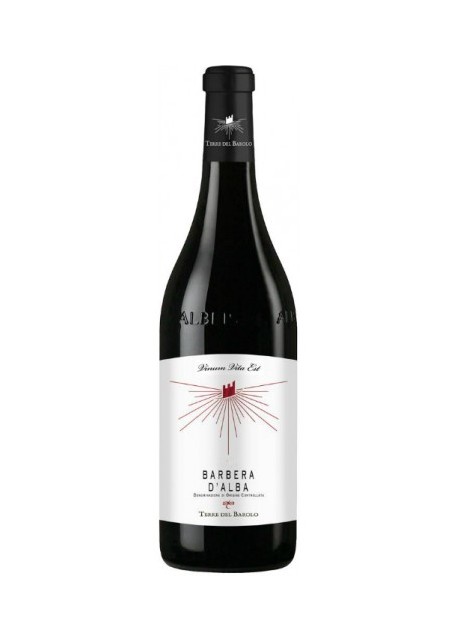 Barbera d'Alba Terre del Barolo 2021 0,75 lt.