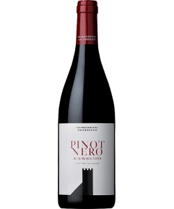 Alto Adige DOC Colterenzio Pinot Nero 2013