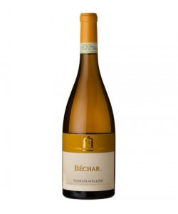 Fiano di Avellino DOCG Caggiano Bechar 2014