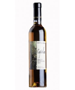 Moscato di Terracina DOC Cantine D'Andrea Passito Capitolium dolce 2015
