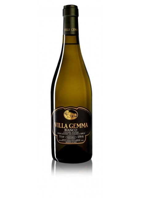 Bianco Colline teatine IGT Masciarelli Villa Gemma 2013