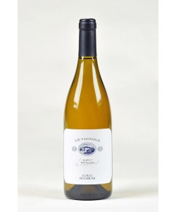 Lazio Bianco IGP Colle Picchioni Le Vignole 2007