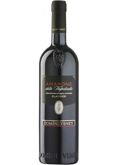 Amarone della Valpolicella Classico DOCG Domini Veneti 2011