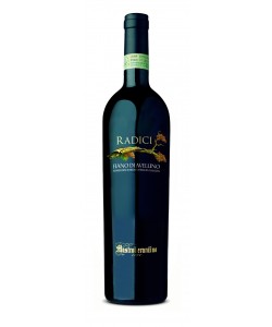 Fiano di Avellino DOCG Mastroberardino Radici 2013
