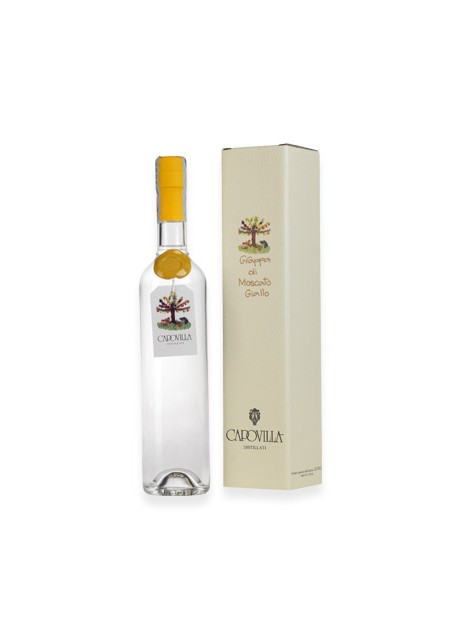 Grappa Moscato Giallo Capovilla