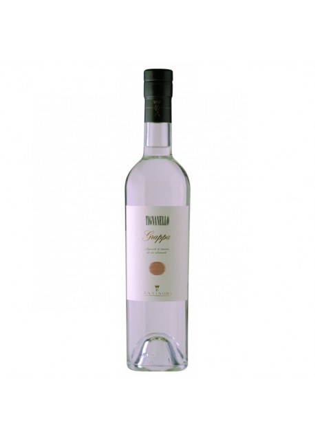 Grappa Tignanello Antinori