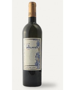Terre Siciliane IGP Cantine Vinci Calicanto Zibibbo Secco 2006
