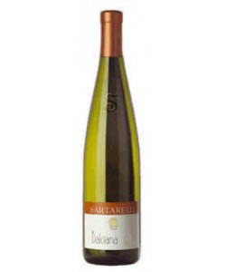 Verdicchio dei Castelli di Jesi DOC Sartarelli Balciana 2013