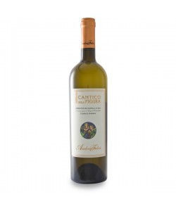 Verdicchio dei Castelli di Jesi Riserva DOC Andrea Felici 2009