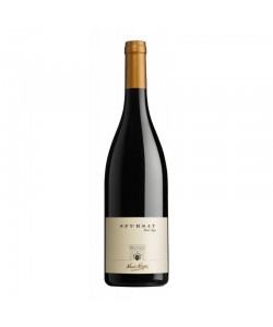 Valtellina DOCG Nino Negri Sfursat 2004