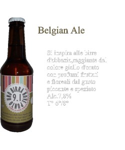 Birra Belgian Ale Birrificio 9.1