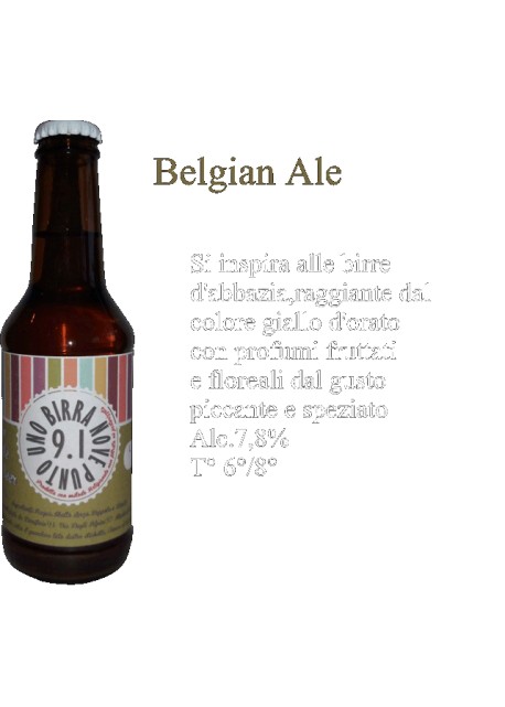 Birra Belgian Ale Birrificio 9.1