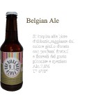 Birra Belgian Ale Birrificio 9.1