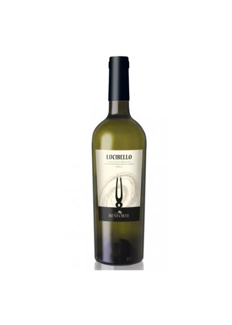 Castello di Jesi Verdicchio Riserva Docg Classico Benforte 2013