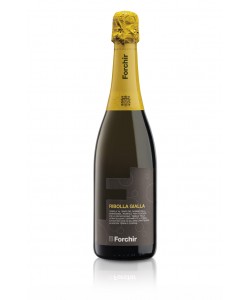 Ribolla Gialla Spumante Brut Forchir