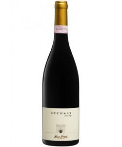 Valtellina DOCG Nino Negri Sfursat 2010