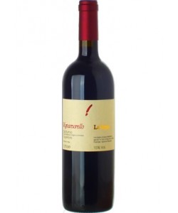 Gutturnio Superiore DOC La Tosa Vignamorello 2011