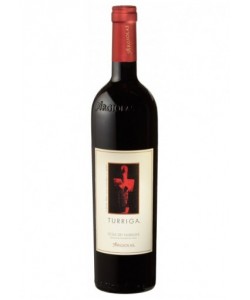 Isola dei Nuraghi IGT Argiolas Turriga 2008