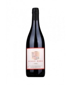 Pinot Nero Fontodi Case Via 2001 0,75 lt.