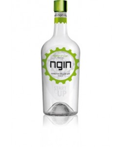 Gin Ngin 1 lt.