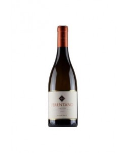 Ferentano Falesco 2013 0,75 lt.