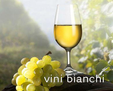 Vini bianchi