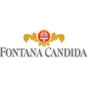 Fontana Candida