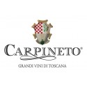 Carpineto