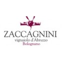 Zaccagnini