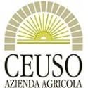 Azienda Agricola Ceuso